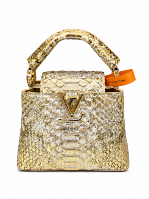 B7CD6D11-D35A-4C71-9E07-1665C43EEE00 حقيبة Louis Vuitton Capucines